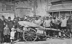 The-largest-whale-ever-landed-in-Hastings-caught-from-the-boat-Industry-skipper-Joseph-Adams.-It-measured-13ft-6in.-and-did-damage-to-the-nets-amounting-to-£5.-July-1914